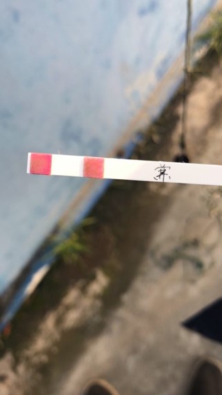 半点科技